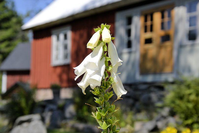 Sommer mit Verwöhngarantie Galeriebild "Sutarebo" - idyllischer Waldhof mit einer langen Historie von 1890 in wunderbarer und schön einsamer Lage. Ein Juwel!