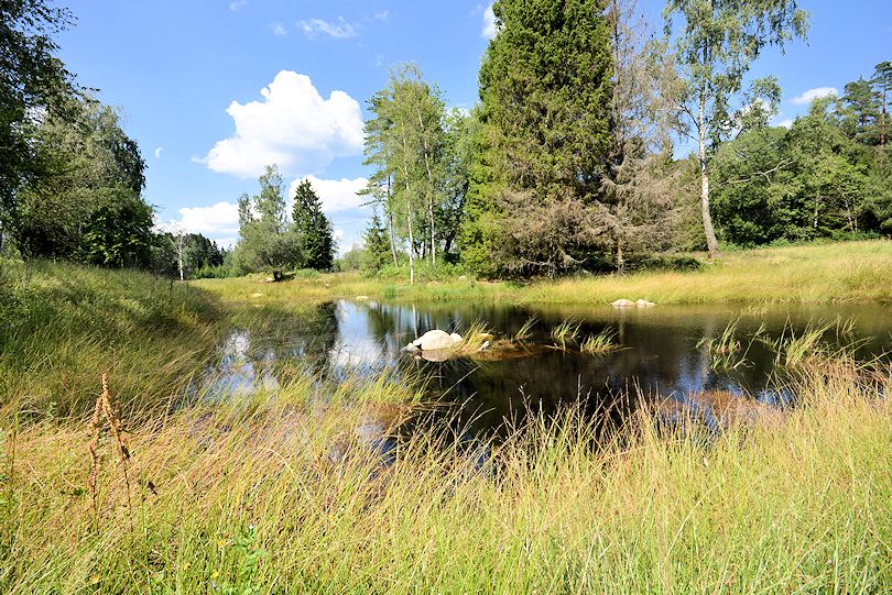 ....ein Wiesenweiher, den auch die Tiere zum Trinken nutzen. Es wohnen am Ufer mehrere Entenpaare Galeriebild "Sutarebo" - idyllischer Waldhof mit einer langen Historie von 1890 in wunderbarer und schön einsamer Lage. Ein Juwel!