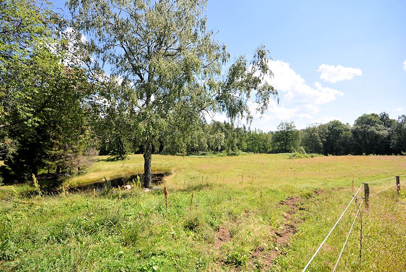 Wiese- und Weide. Vielleicht laufen später über dieses Land Gänse! So viele neue Wege Galeriebild "Sutarebo" - idyllischer Waldhof mit einer langen Historie von 1890 in wunderbarer und schön einsamer Lage. Ein Juwel!