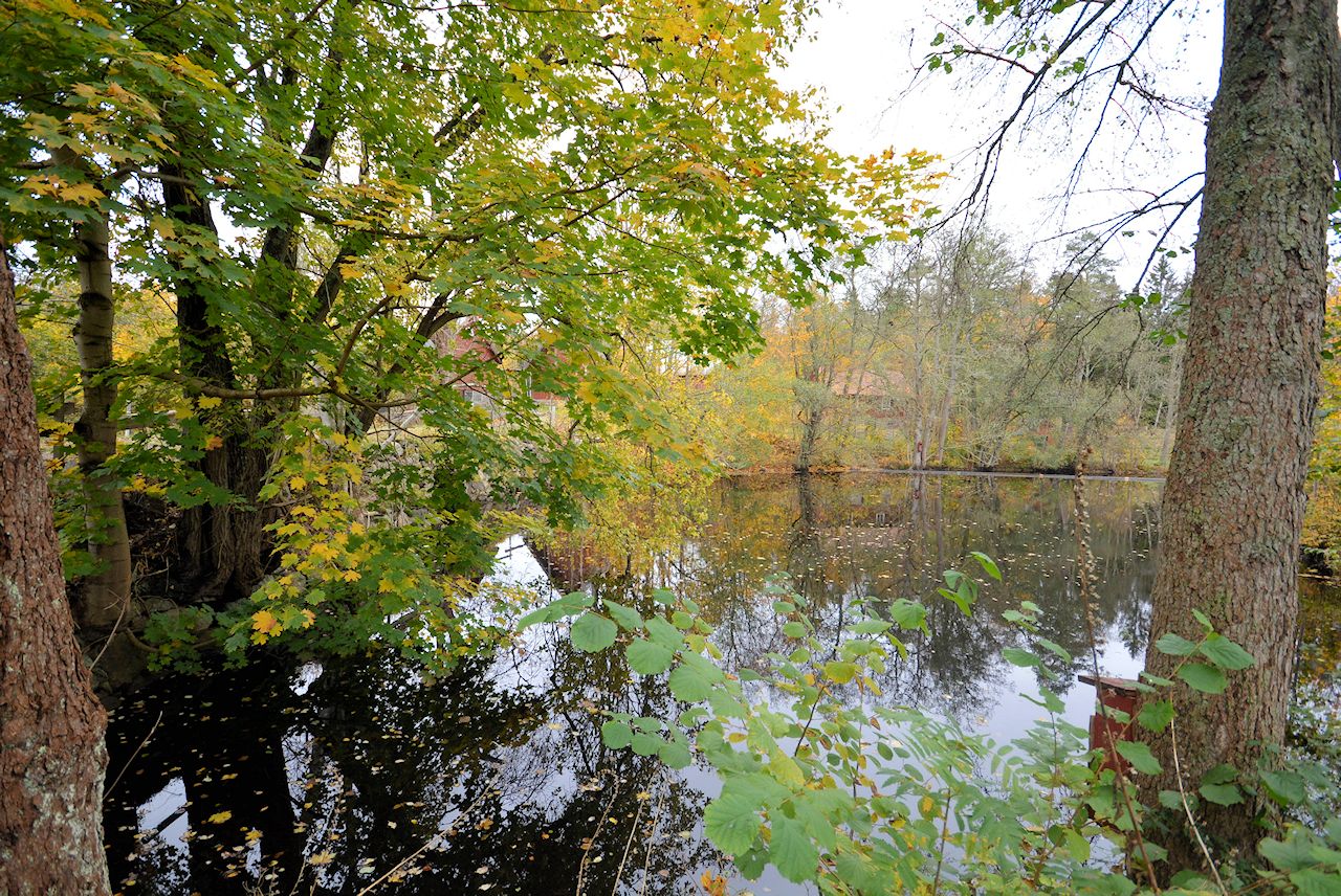 Nahe am Grundstück liegt dieser idyllische Weiher, durch den ein munterer Wasserlauf strömt Galeriebild Strömma Kvarn - Klassische Waldkate. Früheres Müllerhaus nahe den eindrucksvollen Seen UNNEN und BOLMEN. Schön wertvolle Lage!