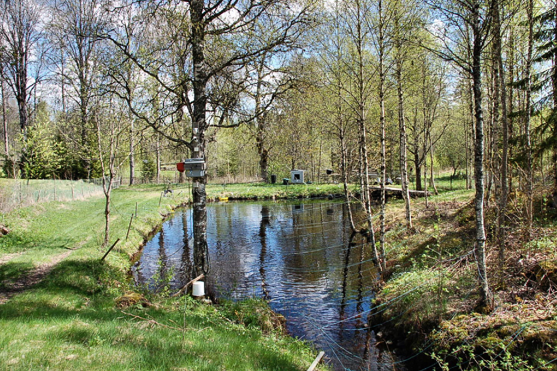 Kameraüberwachtes Forellenbecken