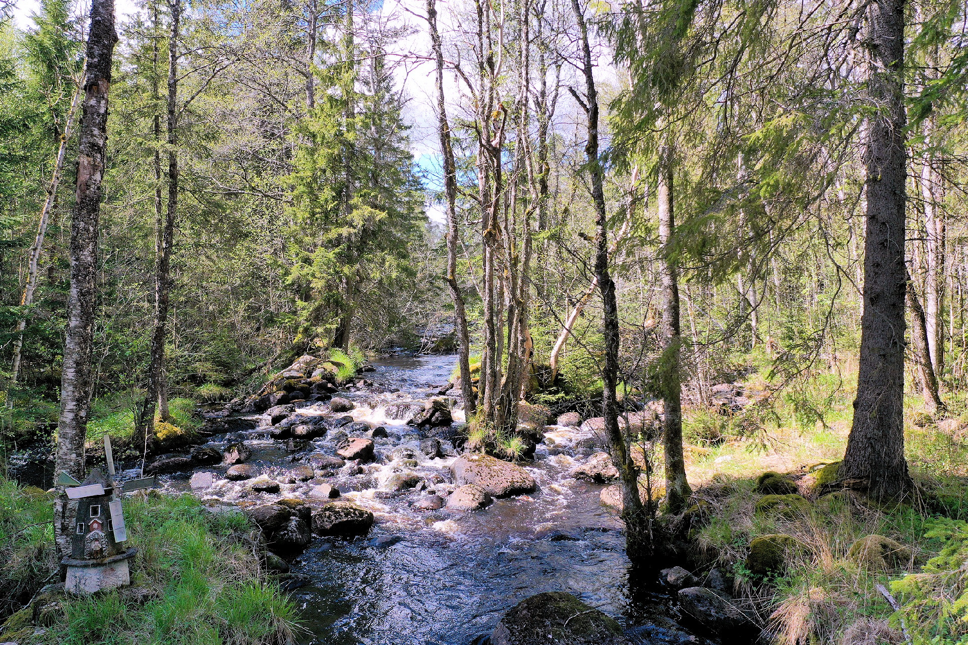Frischwasserzufluß zur Forellenucht