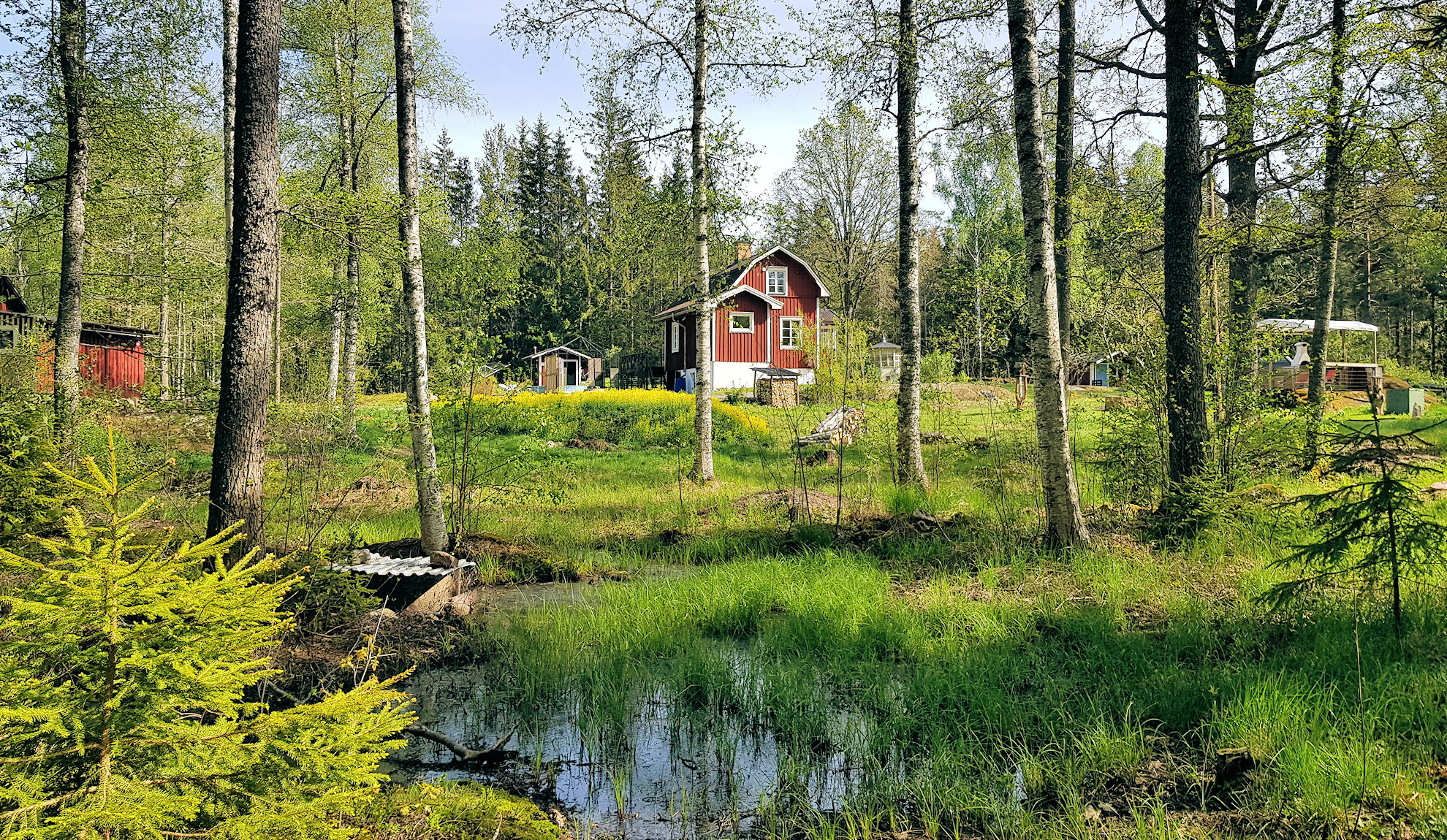 In Schweden leben zu dürfen, ist ein kostbares Gut....