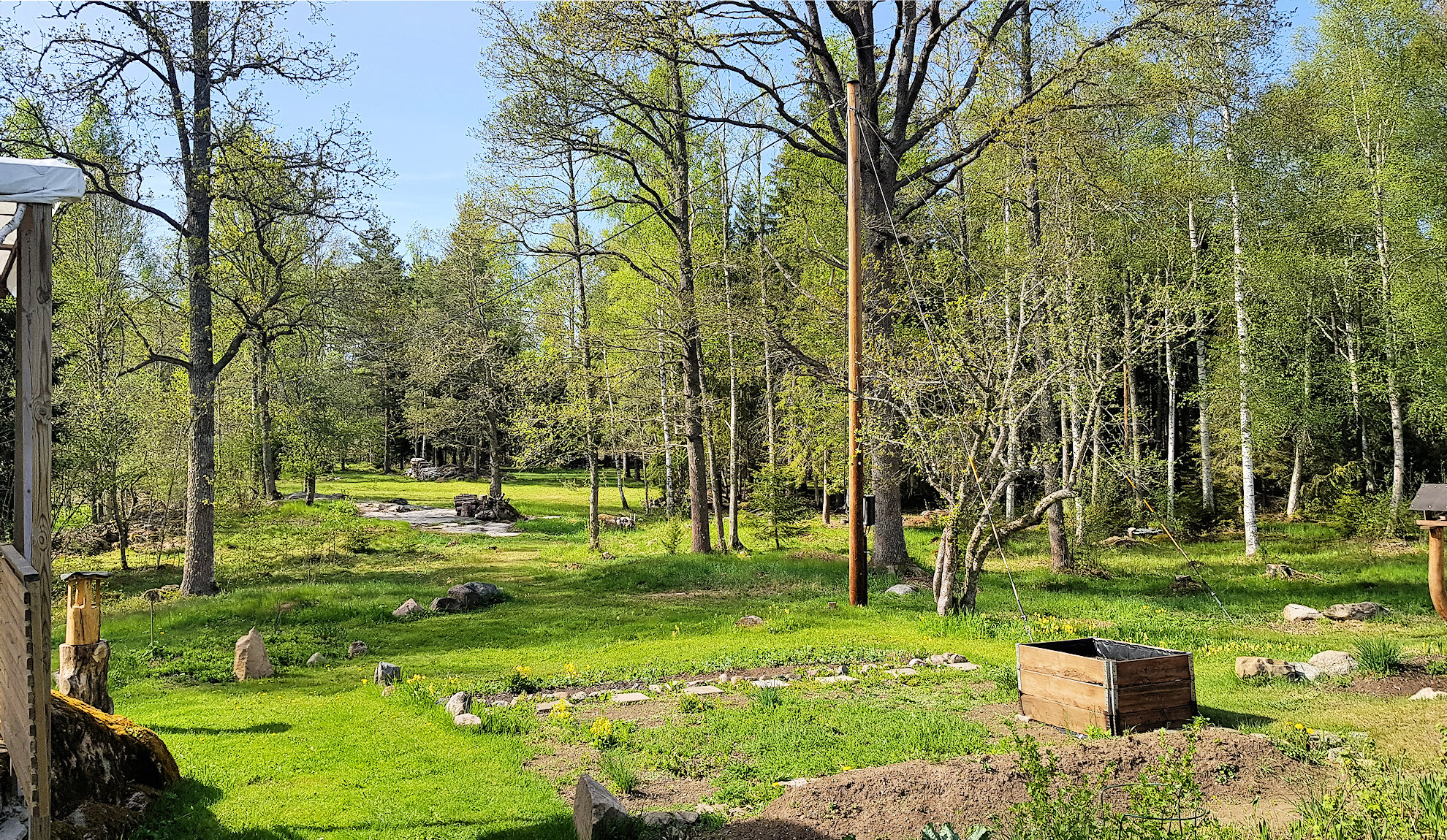 ....und mit diesem eigenen idyllischen Waldgrundstück erfüllen sich viele Wünsche