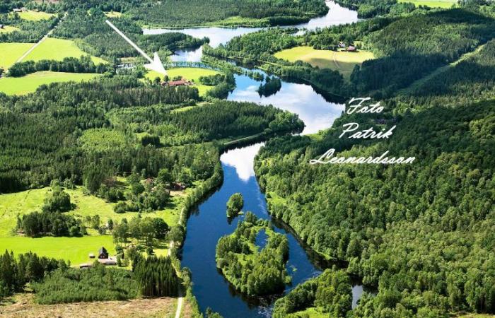 Schweden Immobilien - Willkommen im Leben, willkommen auf Plömminge, dem wunderbaren Waldhof direkt am Fluss NISSAN. Vitamin Grün!