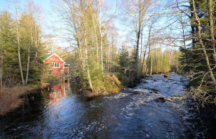 Schweden Immobilien - Timmershult - Ehemaliges Wassermühlengebäude in zauberhafter Waldlage mit einem 16636 m² Naturgrundstück. Ein Traum!