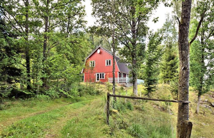 Schweden Immobilien - Permanentwohnhaus in verschwiegener Einzellage in den tiefen Wäldern der Provinz Halland. Ein Vergnügen!