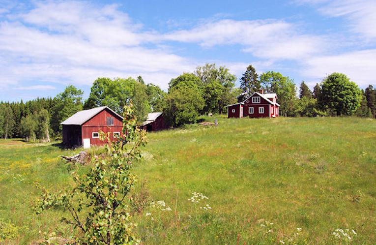 Schweden Immobilien - Naturparadies „Freizeithof Revet“
