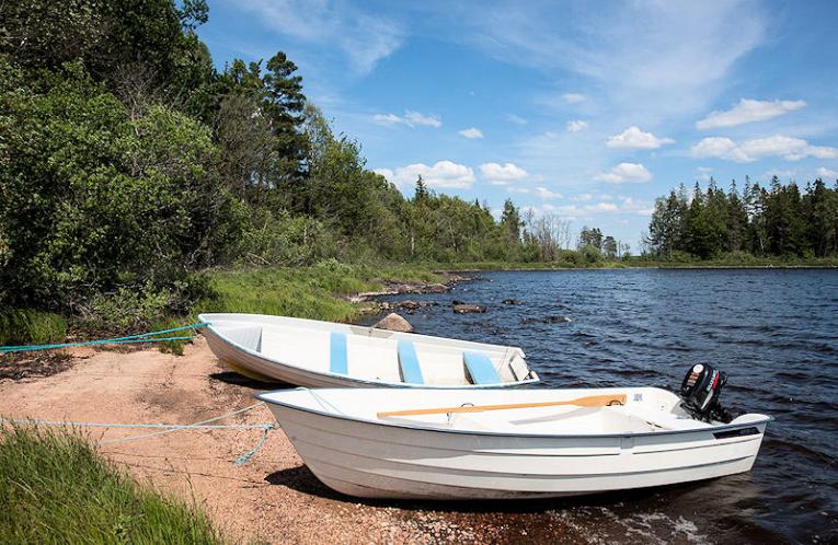 Schweden Immobilien - Schwedenvilla "Sperlingsholm" in idyllischer Objektlage ganz nahe am riesigen See Kalvsjön, Provinz Halland