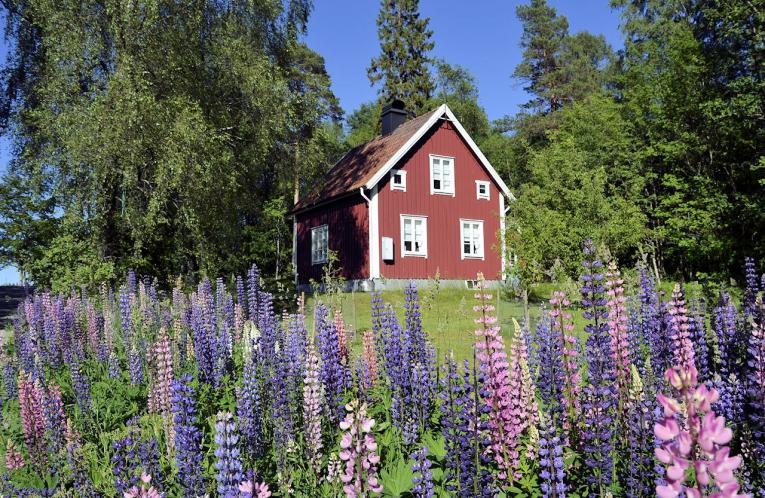Schweden Immobilien - Hjulvhult Sjöbo - schwedische Puppenstube in malerischer Umgebung zu verkaufen! Ein wundervolles Kleinod...! Schweden Immobilien - Hjulvhult Sjöbo - schwedische Puppenstube in malerischer Umgebung zu verkaufen! Ein wundervolles Kleinod...!