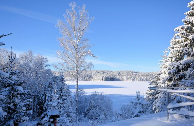 Schweden Immobilien - Brunnsnäs - ein genussvolles Immobilienangebot für echte "Sehleute", für die ein Traumsee vor der Haustür unabdingbar ist.  Herzklopfen garantiert!